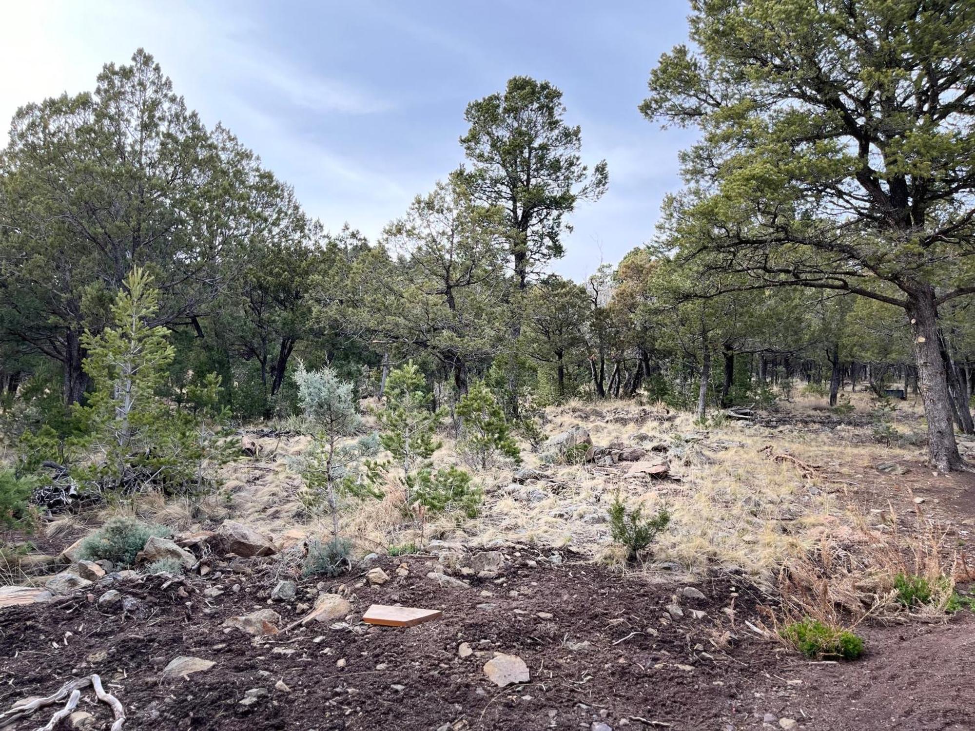 Thunder Hollow Ruidoso Extérieur photo